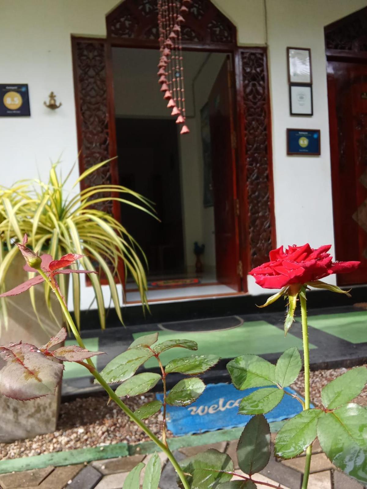 Awon Mirissa Hotel Ngoại thất bức ảnh