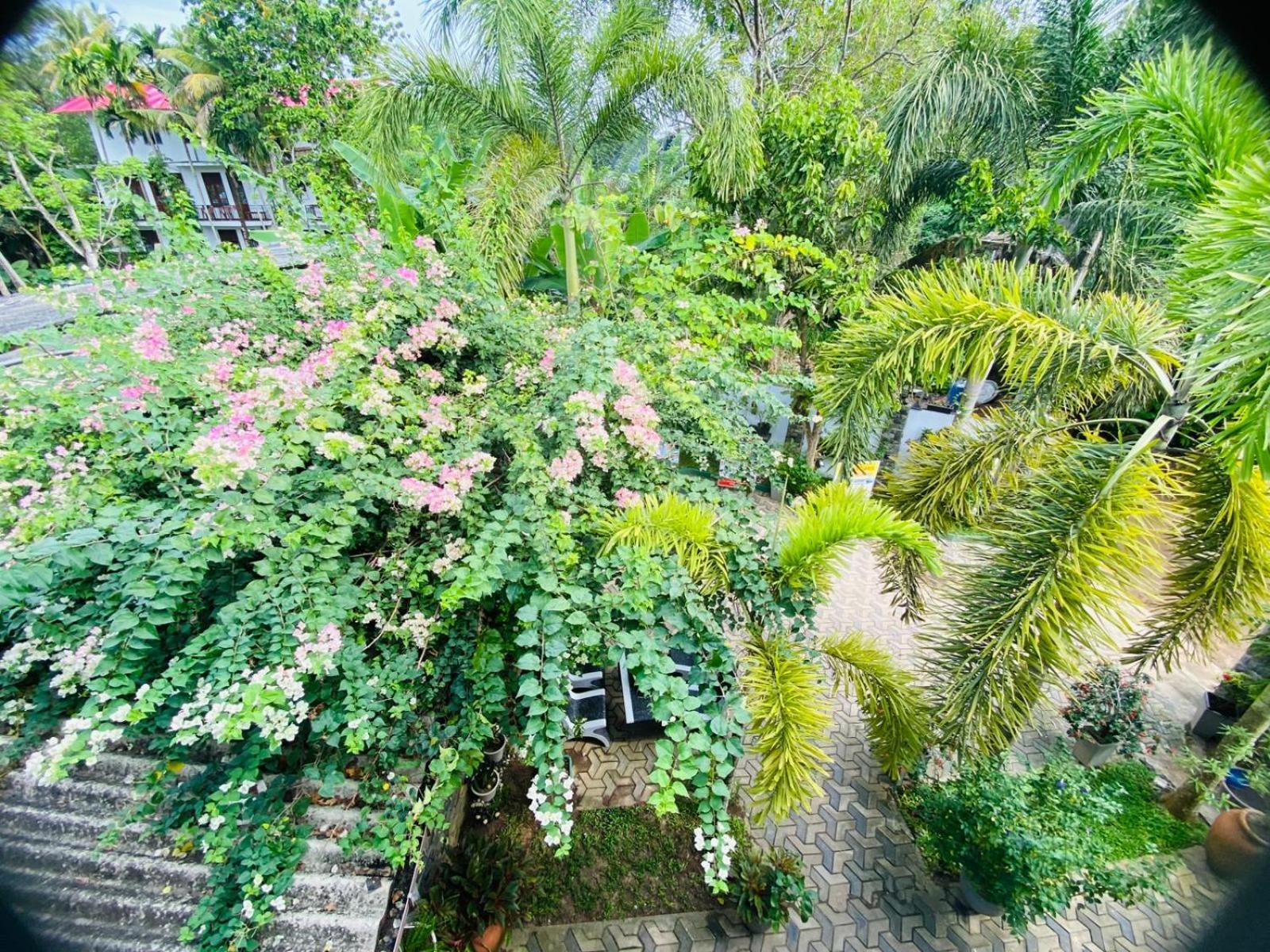 Awon Mirissa Hotel Ngoại thất bức ảnh